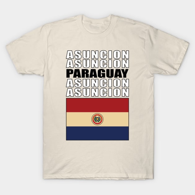 Flag of Paraguay T-Shirt by KewaleeTee